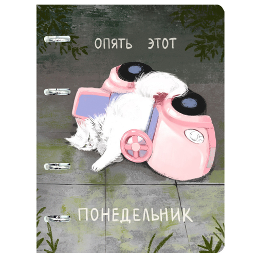 Тетрадь 100 л. А5 на кольцах ЭКСМО Понедельник (ТКП1005525)