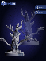 Проклятые Деревья