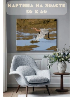 Картина на стену 40 X 50 Птица