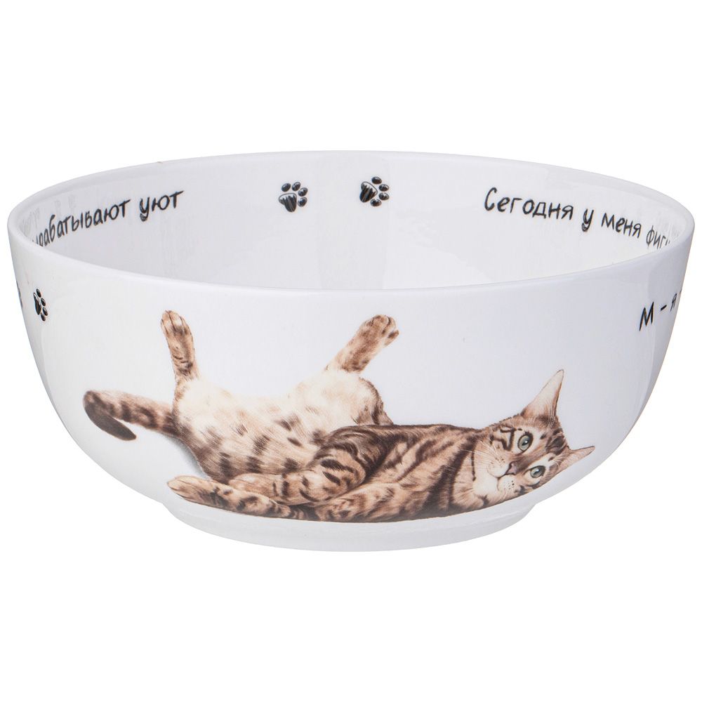 САЛАТНИК-ТАРЕЛКА СУПОВАЯ LEFARD "БЕРИ КОТА" 750 МЛ 15,5*6,5 СМ (КОР=36ШТ.)