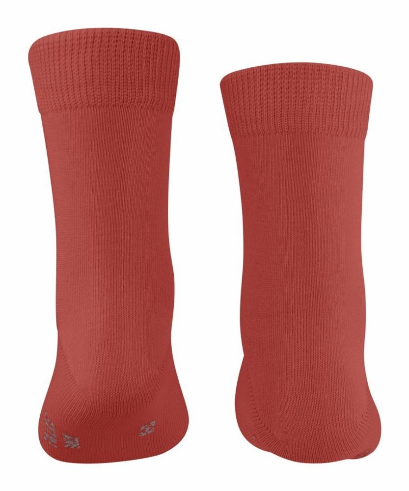 Носки Family FALKE 12998/8820