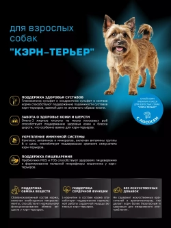 Корм сухой для собак породы Кэрн-терьер, с лососем, 800 гр