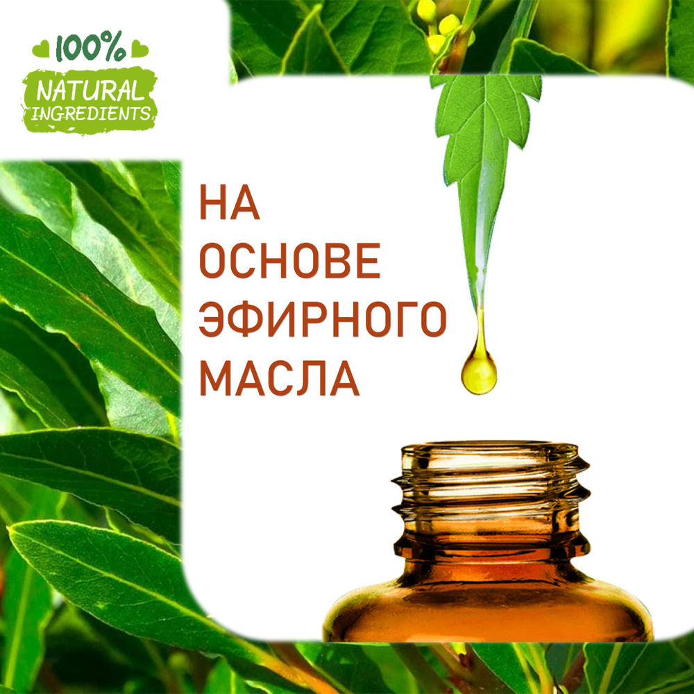 Лавр, отдушка для свечей и мыла