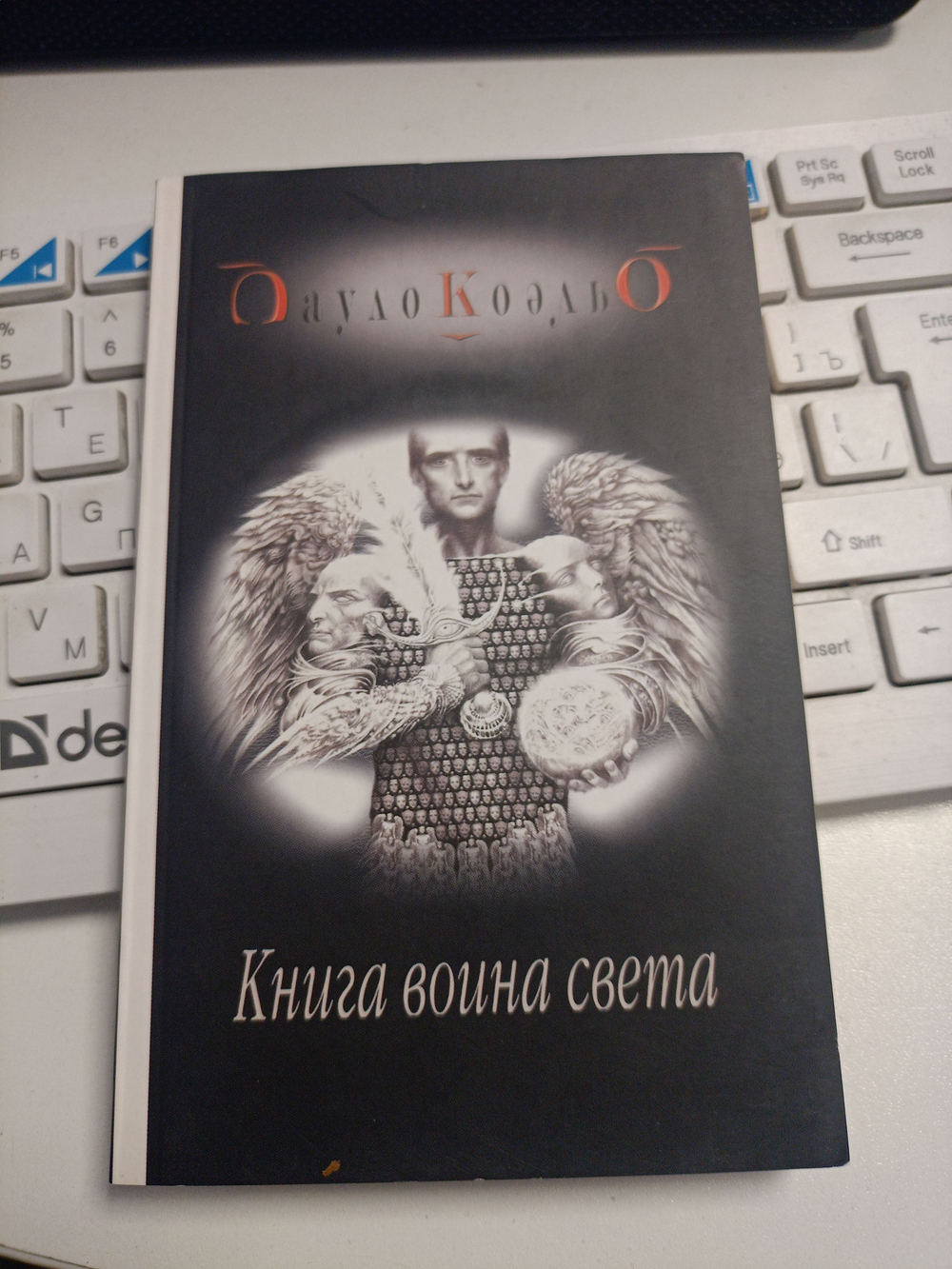 Книга воина света