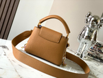 Louis Vuitton Capucines Mini