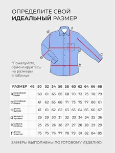 Рубашка 6025 Fabrika