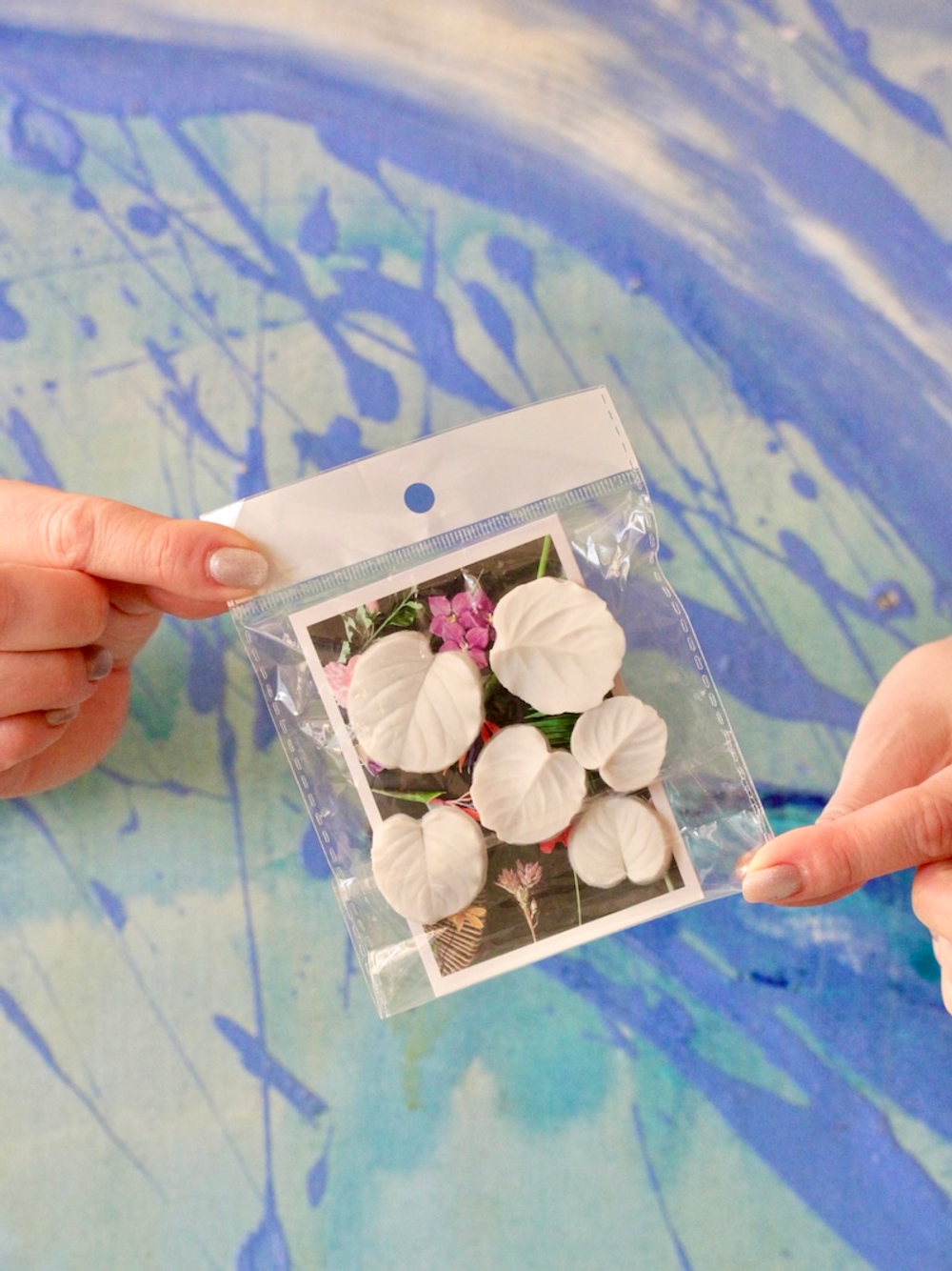 Набор вайнеров для лепки листьев эвкалипта Coprussia