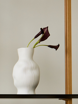 Ваза фарфоровая MATTE