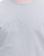 Купить Толстовка Anteater Crewneck BigText серая Толстовка Anteater Crewneck BigText серая