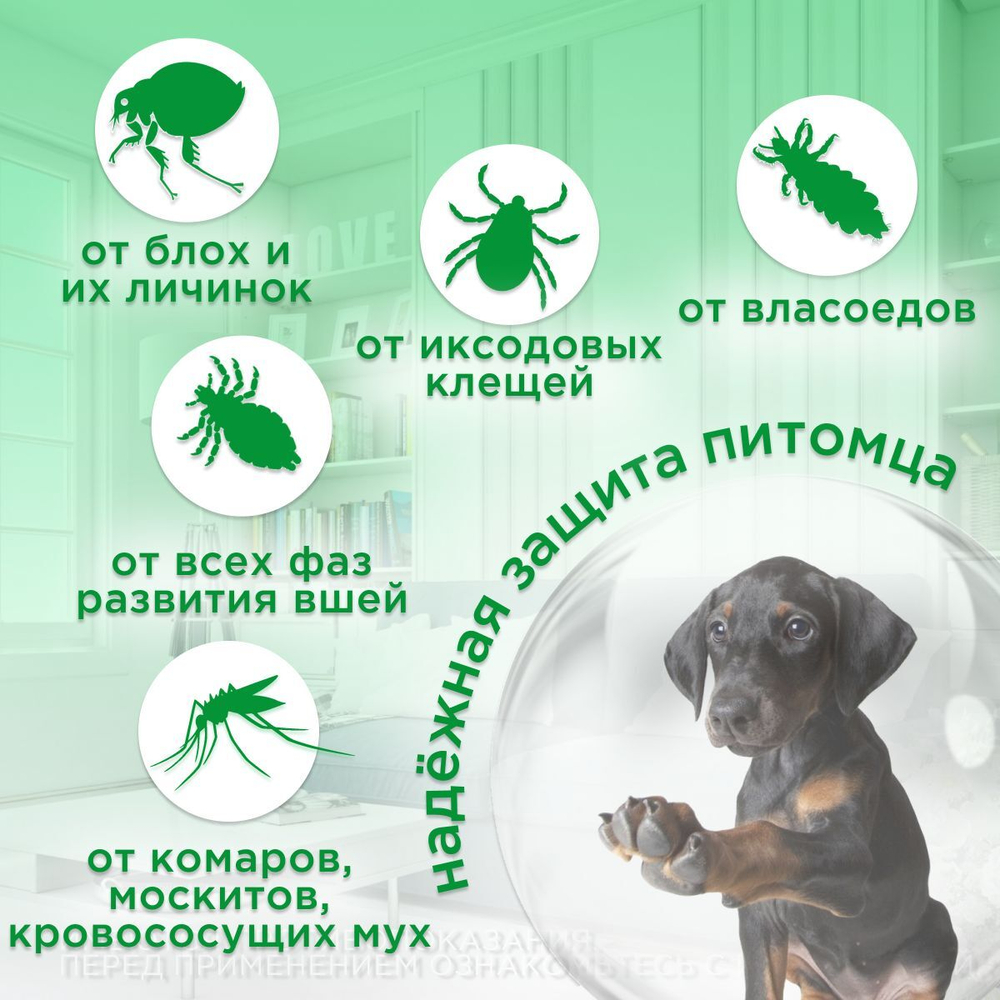 Капли от блох, клещей, вшей, власоедов, а так же кровососущих мух и комаров для собак 25-40 кг Атакса (KRKA), 1 пипетка Имидаклоприд/Перметрин