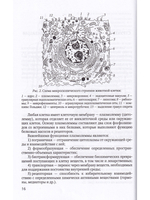 Основы медицинских знаний