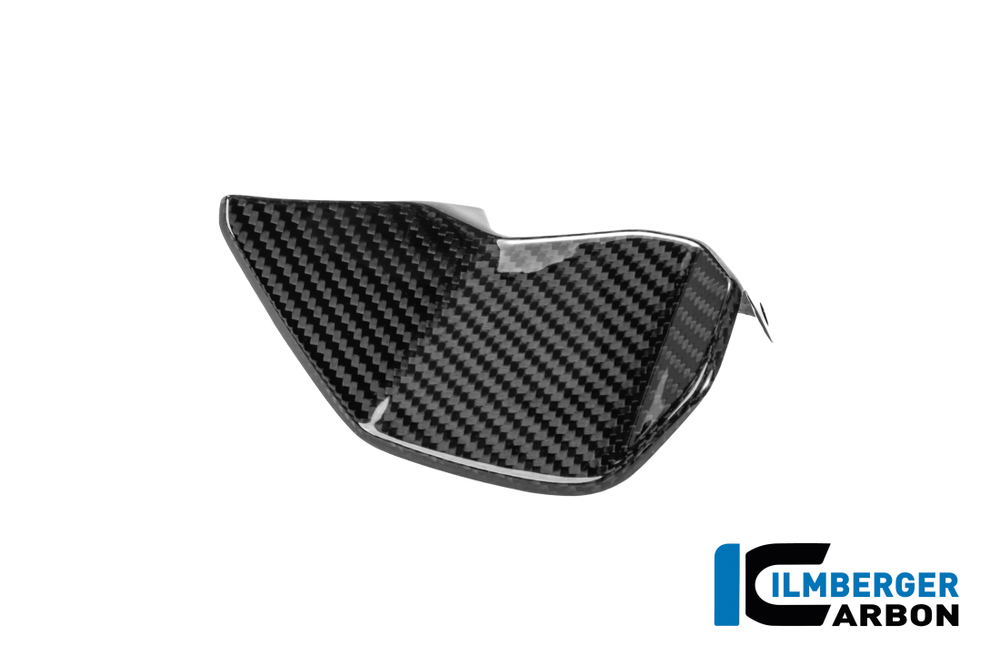 Ilmberger Carbonparts Накладка приборной панели левая BMW R 1300RS CG.CAL.016.R13R