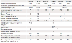 Поворотный стол горизонтально-вертикальный D100 TSL 100
