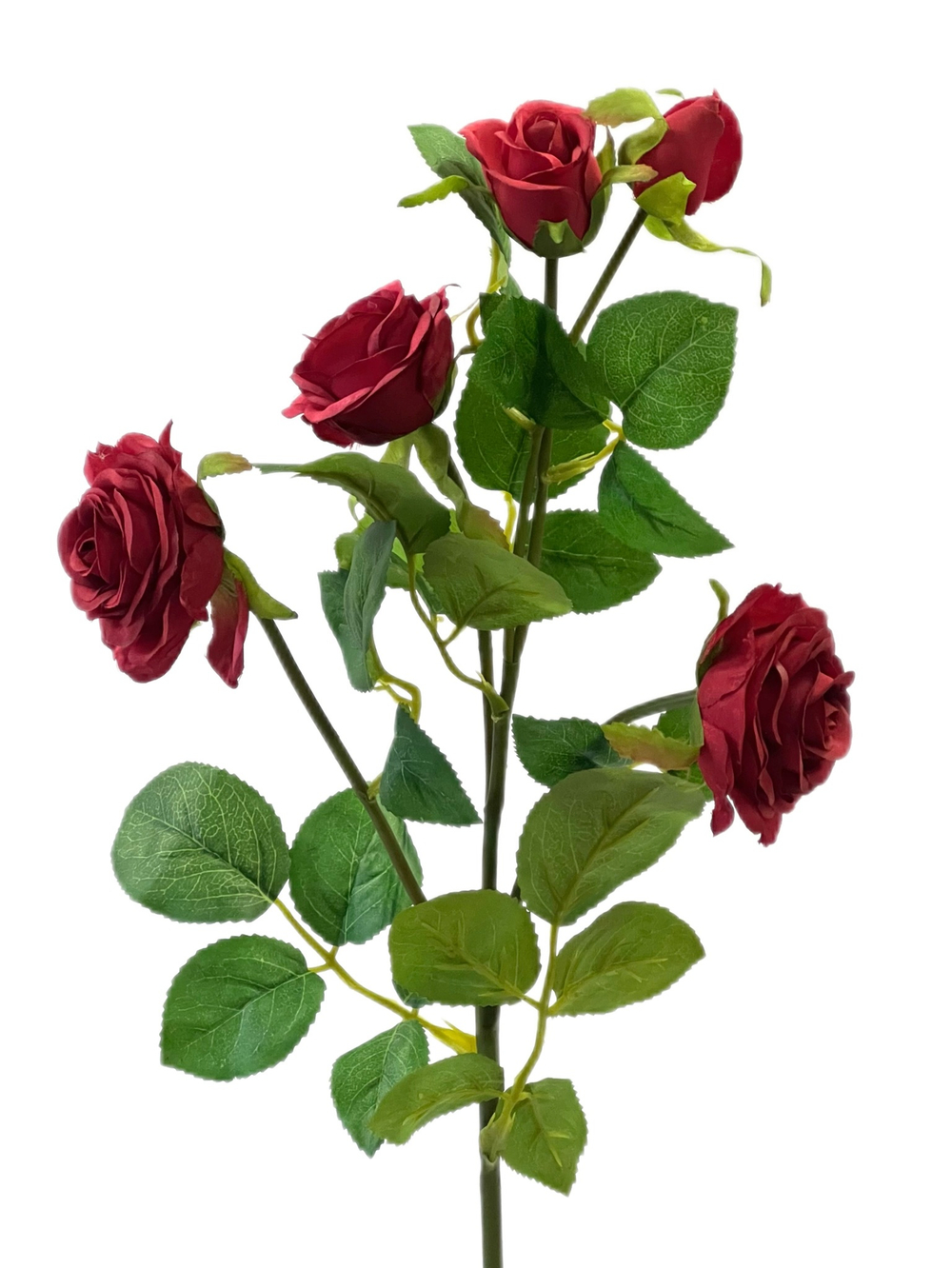 Роза кустовая красная 62 см