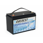 Тяговая аккумуляторная батарея Everest LFP-24V50Аh-PRO + LCD + Bluetooth