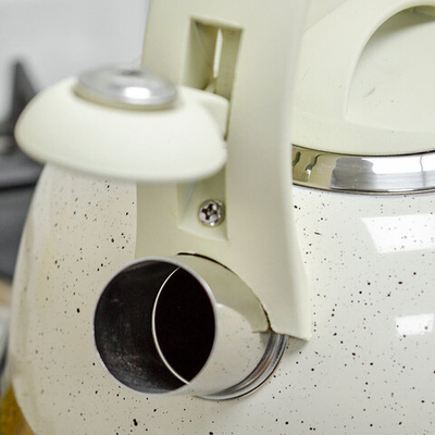 Чайник 3л нерж со свистком, индукция, ручка soft-touch, Z-4520