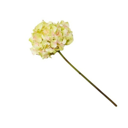 Гортензия Алтона розово-зелёная [Арт. 100946]