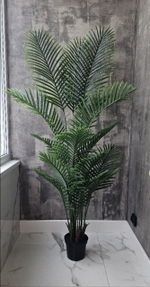 Пальма Хамедорея 180 см без кашпо / Арт 3093