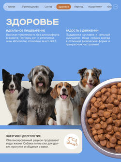 Корм сухой для пожилых собак породы Акита-ину старше 5 лет, с индейкой, 3 кг, QUATTRO