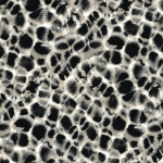 Ronald Redding Traveler