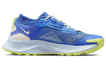 Кроссовки Nike Pegasus Trail 3 Gore-Tex (Женская размерная сетка)