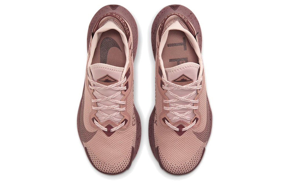 Кроссовки Nike Pegasus Trail 2 Gore-Tex (Женская размерная сетка)