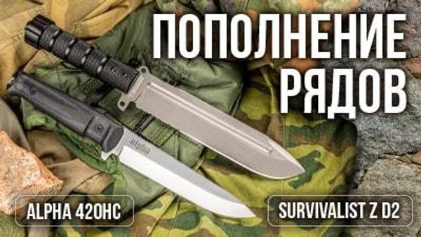 Пополнение рядов