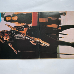 Винтажная виниловая пластинка LP Suzi Quatro Can The Can (Япония 1974) (Без Оби)
