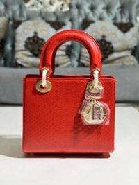 Christian Dior Lady Dior 20 cm