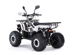 Квадроцикл бензиновый MOTAX ATV GRIZLIK SUPER LUX 125 сс NEW (AB)