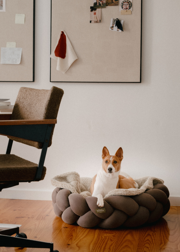 Лежанка "Пони-Колосони" Шоколад