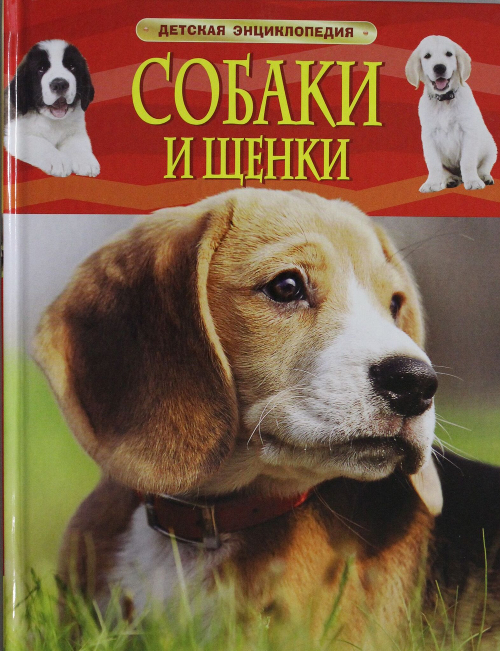 Собаки и щенки.