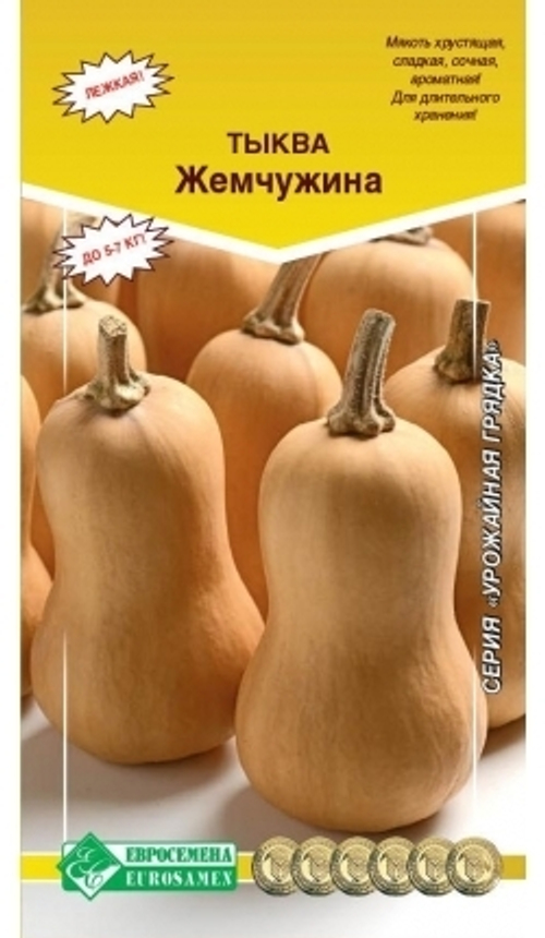 Тыква Жемчужина
