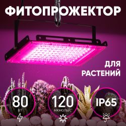 Фитопрожектор для растений светодиодный ЭРА FITO-80W-RB-LED-Y красно-синего спектра