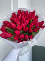 Букет из 51 красного тюльпана
