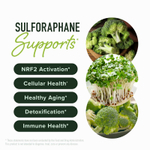 SMNutrition, активированный комплекс с сульфорафаном, с отсроченным высвобождением, 60 капсул