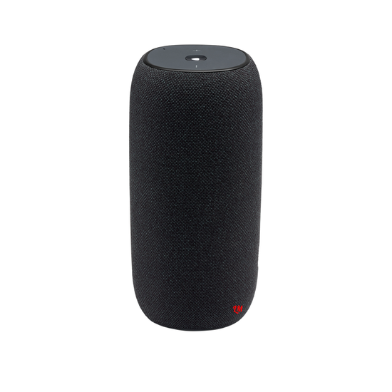 JBL Link Portable с Алисой Black (чёрная)