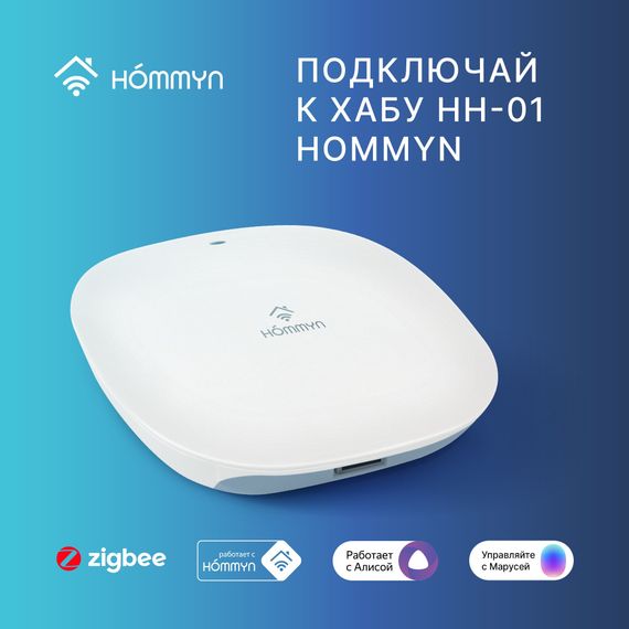 Сенсор открытия двери HOMMYN DS-20-Z — (5)