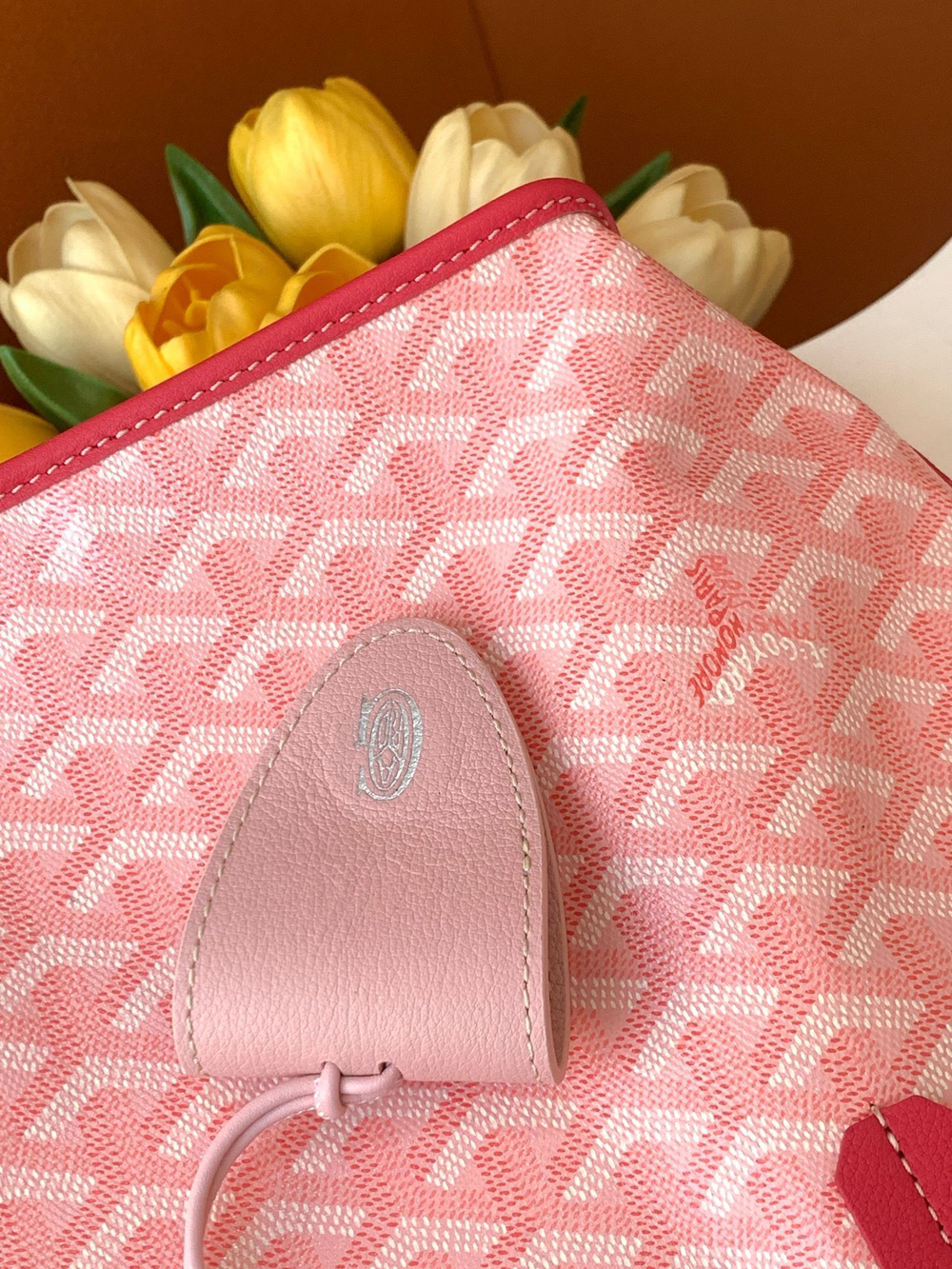 Goyard Anjou Mini Bag