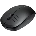 Мышь Canyon MW-04 (CNS-CMSW04B) черный