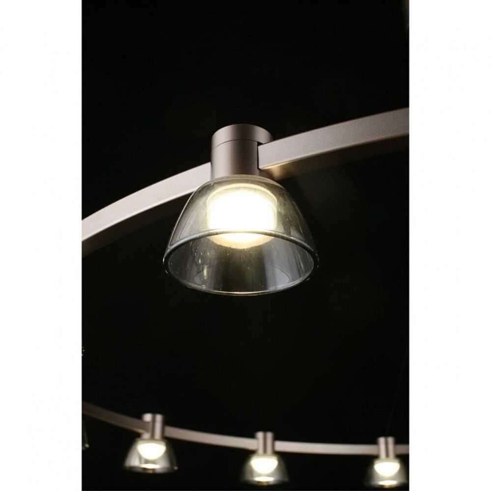 Подвесная люстра Aployt Rezeda APL.788.03.15