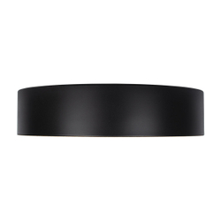 10202 Black Потолочный светильник LOFT IT Coin