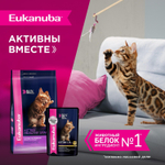 Eukanuba Kitten Healthy Start влажный рацион для котят 85 г