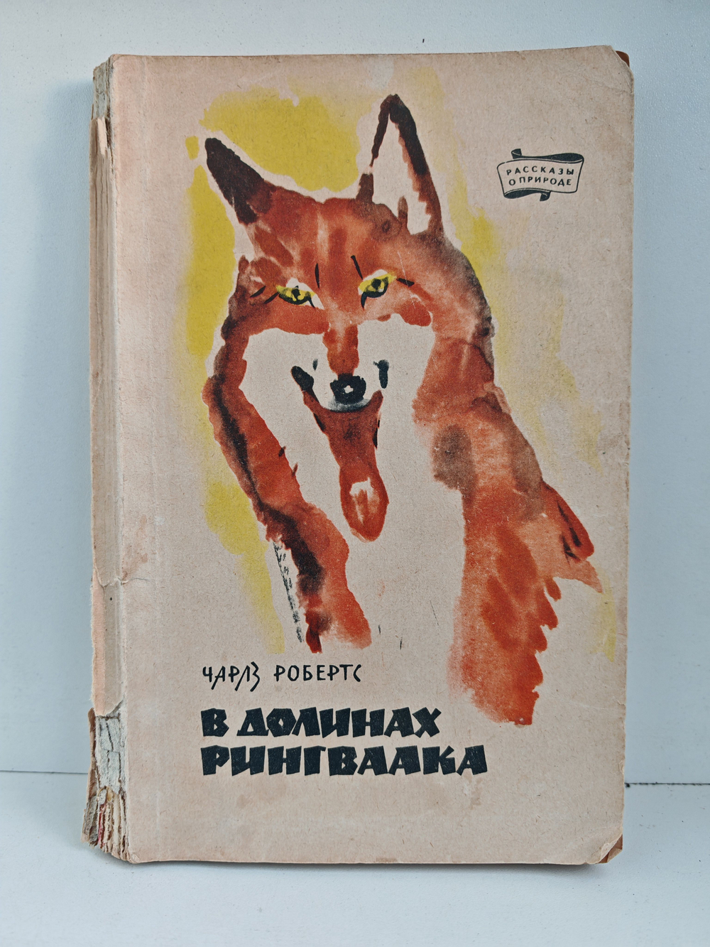 В долинах Рингваака