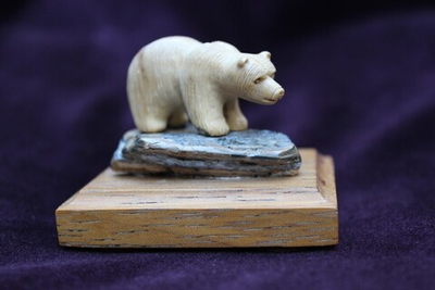 Медведь бурый