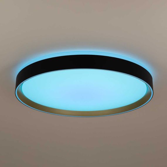 Потолочный светодиодный светильник Citilux Boss CL751451G