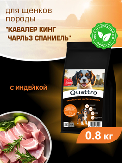Корм сухой для щенков породы Кавалер кинг чарльз спаниель, с индейкой, 800 гр, QUATTRO