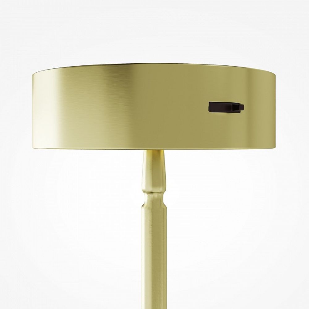 Подвесной светильник Maytoni Frostum MOD439PL-L20BSK