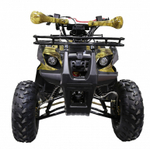 Квадроцикл ATV Termit TT