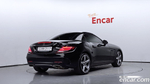 Mercedes-Benz SLC-Class R172 SLC250 (11.2019)